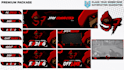 create full branding animated stream overlay, twitch, kick