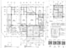 redraw structural design output from etabs or pdf into detailed shopdrawing