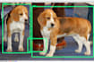 fix algorithmic bias in your machine learning model