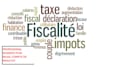offer expert accounting and finance services