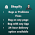 fix shopify bugs or problems quickly on any page