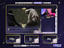 animate stream game overlay, screens, alerts and panels