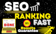 do perfect white hat monthly SEO service for your website google ranking