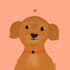 draw your pet in a cute style