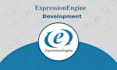 do all expressionengine related design and development