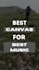 create unique and best spotify canvas
