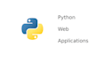 write python web applications using flask or fastapi