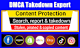 be dmca takedown expert to remove infringing websites from google search results