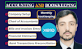 do xero bookkeeping, reconciliation, catch up cleanup, and financial reports