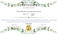 design any professional certificate templates