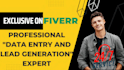 do excel data entry, copy paste, lead generation, data mining, data scraping
