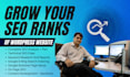 strategize SEO and SEM for your wordpress website