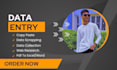 do accurate data entry in cheap price