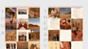 create and manage your social media content on instagram