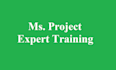 provide microsoft project training