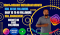 be virtual supporter for organic growth instagram promotion