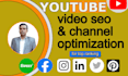 do the best youtube video SEO and channel optimization