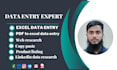do excel data entry, web research and perfectly linkedin data collection