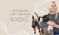 create german dog content for your brand