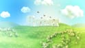 produce a blooming spring text 3d animation