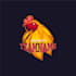 design a modern chickens logo