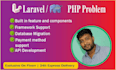 fix bugs, develop and upgrade laravel, PHP website