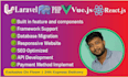 fix and develop javascript websites with vue, and react help of PHP laravel