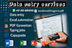 be your data entry expert ms office