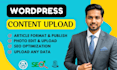 do content upload, and blog posts as wordpress virtual assistant