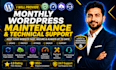 provide monthly wordpress maintenance, support and bug fixes
