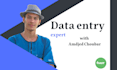 provide fast and reliable data entry services