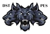 embroidery digitizing 3d puff, convert to dst, pes, in 1hr