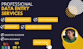 do freelance data entry, data collection