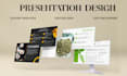design a professional presentation or PDF sales pitch deck
