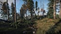 teach you how to play rust