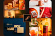 design a strategic brand identity and logo