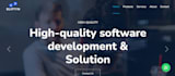 provide custom website development services
