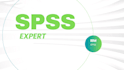 do a statistical analysis of data using spss