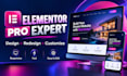 be your elementor expert for wordpress website design and redesign