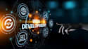 develop websites db software with mobile and robotics