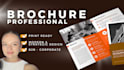 design a two panel corporate professional brochure