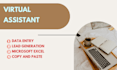 do data entry, copy paste,  web research, b2b lead generation