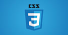 make edits to the CSS styles of your website