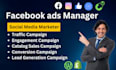 be your facebook ads manager,fb ads campaign,instagram ads