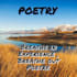convert your imagination into a beautiful poem