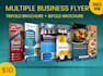 design a professional brochure, flyer, and poster