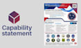 design a professional federal government contract capability statement