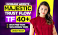 increase your website trust flow up to 40 plus