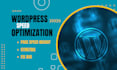 increase wordpress website speed on google pagespeed insights