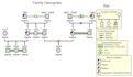 create a well detailed genogram in 12 hours
